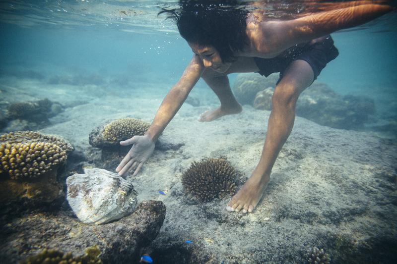 Niue to create large-scale marine protected area