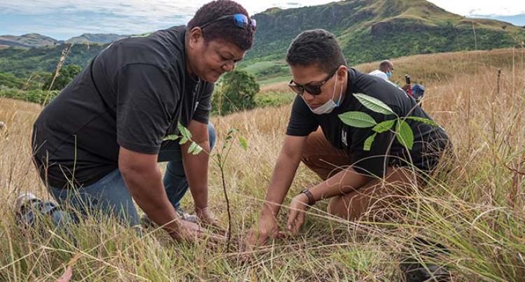 FIJI-Water-team-planting-some-of-the-1000-trees