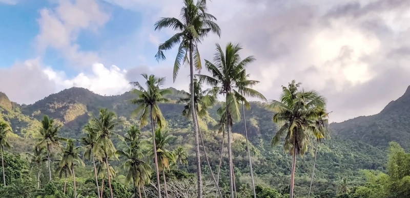 Restoring Fiji's Landscape