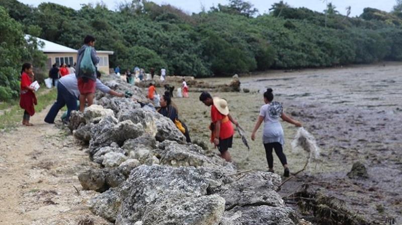 Coastal clean-up and coastal tree planting in Tonga _ Loop Tonga.jpg