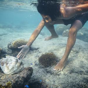 Niue to create large-scale marine protected area