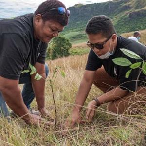 FIJI-Water-team-planting-some-of-the-1000-trees
