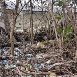 Informal dumping site on the Kanokupolu beach head. September 2020.
