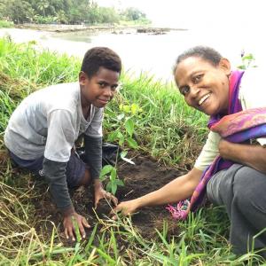 Vanuatu restoration planting