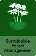 Sustainable Forest Management