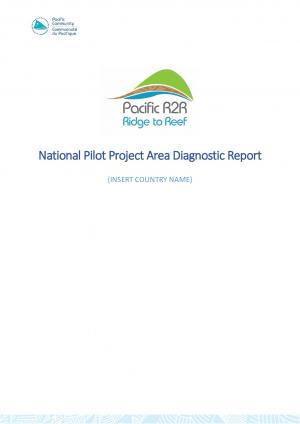 IW_R2R_National_Pilot_Project_Area_Diagnostic_Report_template.pdf.jpeg