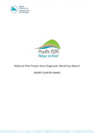 IW_R2R_National_Pilot_Project_Area_Diagnostic_Workshop_Report_template.pdf.jpeg