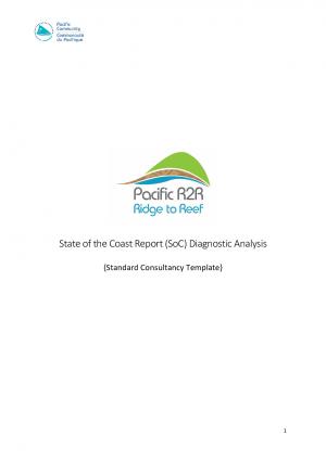 Template ToR - diagnostic analysis_FINAL.pdf.jpeg