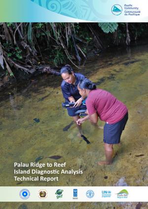 Palau_IDA_Report.pdf.jpeg