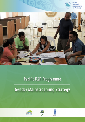 	Pacific R2R Programme Gender Mainstreaming Strategy