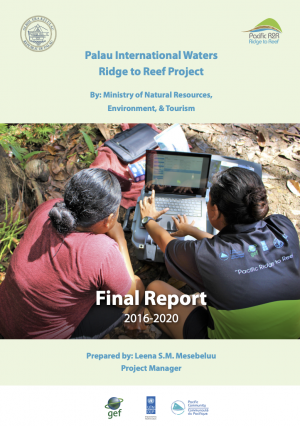 Palau Final Report