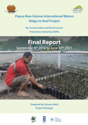 PNG Final report