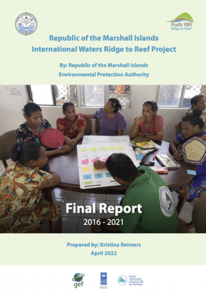 RMI Final Report