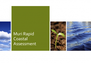 Muri Rapid Coastal Assessment presentation - Consultant