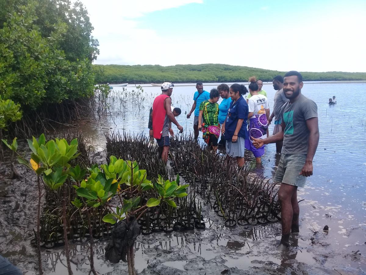 Fiji_STAR_Youth and Women Participation_mangrove nursery