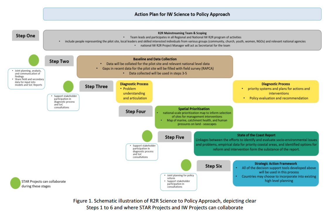 Science to Policy Process
